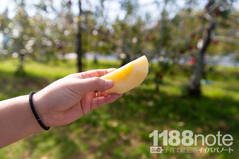 広島県三原市果実の森のリンゴ